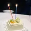 わんこのプロフィール画像