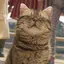 もちのプロフィール画像