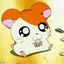 みにゃのプロフィール画像
