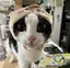 ゆっこのプロフィール画像