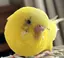 mbのプロフィール画像