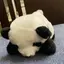 瞭人のプロフィール画像