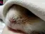 ほいみんのプロフィール画像