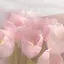 nariのプロフィール画像