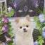 夏菜のプロフィール画像