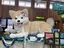 みおのプロフィール画像