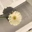 あゆみのプロフィール画像