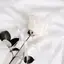 ユークのプロフィール画像