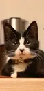 ひとみのプロフィール画像