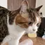 knのプロフィール画像
