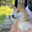 未来のプロフィール画像