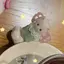 シンちゃむのプロフィール画像