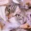 やつのプロフィール画像