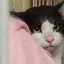 ヒロマルサンタのプロフィール画像