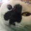 ゆかりのプロフィール画像