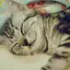 角煮のプロフィール画像