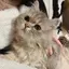 なぎさのプロフィール画像
