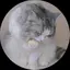 れいなのプロフィール画像
