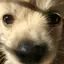 もぐのプロフィール画像