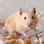 もよのプロフィール画像