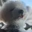 ちょんのプロフィール画像