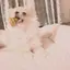 7のプロフィール画像