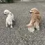 リュウセイのプロフィール画像