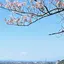 yumiのプロフィール画像