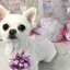 ひきのプロフィール画像