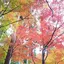 みずきのプロフィール画像