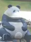 コタのプロフィール画像