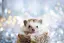 まーちゃんのプロフィール画像