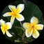 しかたのプロフィール画像