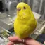 eのプロフィール画像