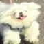 yuのプロフィール画像