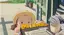 Meiのプロフィール画像