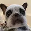 momenのプロフィール画像