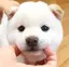 TOMOMIのプロフィール画像