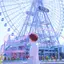 Nのプロフィール画像