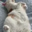 おりおんのプロフィール画像