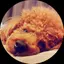 りんこのプロフィール画像