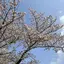 なおのプロフィール画像