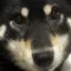桃ちゃんのプロフィール画像