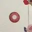 あんこのプロフィール画像
