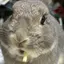 みっくんのプロフィール画像