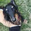 清和のプロフィール画像