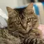 Nanaのプロフィール画像