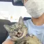 うちだのプロフィール画像