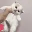 まりえのプロフィール画像