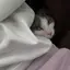 みおのプロフィール画像